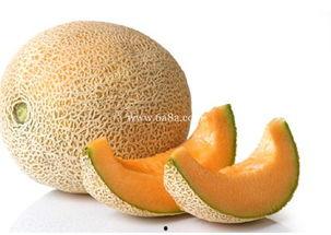 企鹅吃哈密瓜,哈密瓜大餐