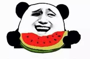 吃瓜群众阿鱼,揭秘娱乐圈那些事儿