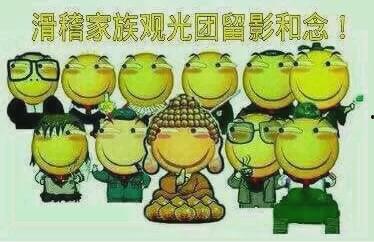 吃瓜群众碗盆