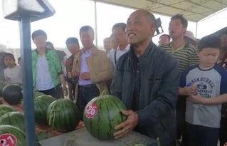 胶州吃瓜群众,吃瓜群众的欢乐时光