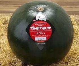 专业吃瓜抬杠,揭秘网络舆论场的风云变幻