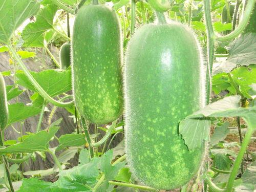 逸品吃瓜,揭秘娱乐圈幕后故事