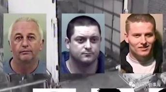 吃瓜群众续集小说,风云再起，瓜田新秀