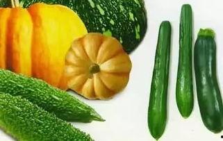 巴黎瓜怎么吃,巴黎瓜的多样食用方式探索