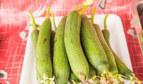 丝瓜蒲瓜还有什么瓜可以吃,丝瓜、蒲瓜之外的多样美味探索