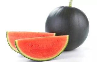 捎瓜怎么吃,捎瓜的多样美味吃法探索