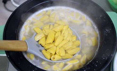 猫耳朵吃瓜视频,萌态十足，带你领略宠物界的欢乐时光