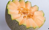 螃蟹吃哈密瓜,奇妙的跨界美食之旅