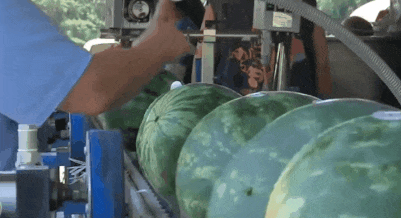 吃瓜前线上海,揭秘上海滩最新热点事件