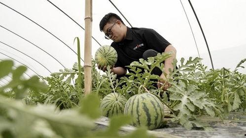 吃瓜前线上海,揭秘上海滩最新热点事件