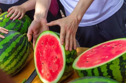 吃瓜学校马桶,马桶背后的校园风云