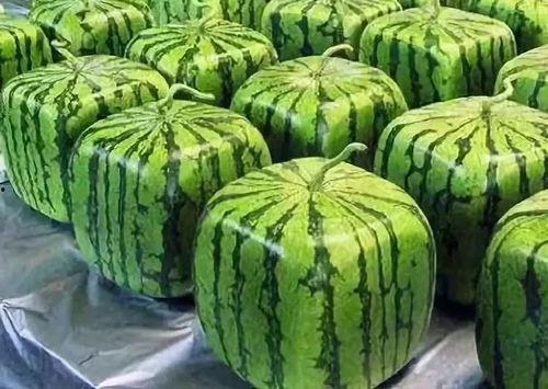 吃瓜小组1090,揭秘娱乐圈那些不为人知的幕后故事