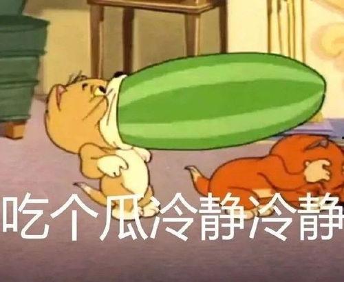 猫和老鼠游戏吃瓜