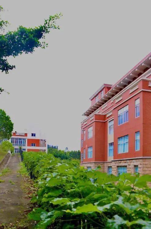 吃瓜泉州师范,吃瓜群众眼中的校园风云录