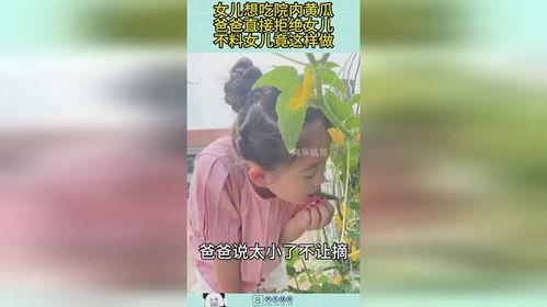 爸爸跟女儿吃瓜,爸爸与女儿吃瓜趣事
