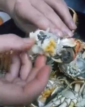 吃大闸蟹可以吃胶瓜吗,胶瓜的巧妙融入