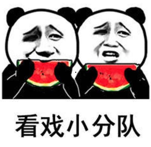 吃瓜表情视频,趣味横生的网络潮流