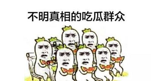 穿书围观吃瓜群众,揭秘吃瓜群众的幕后故事
