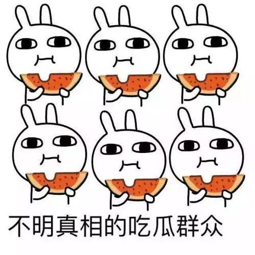 有关吃瓜的音乐,探寻吃瓜音乐的魅力之旅