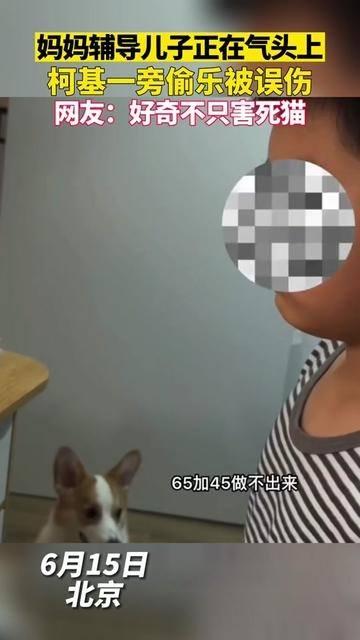 吃瓜妈妈辅导儿子视频,趣味教学助力成长