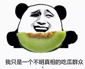 不伤心吃瓜群众,看客视角下的娱乐世界