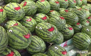 顾声吃瓜,揭秘娱乐圈背后的那些事儿