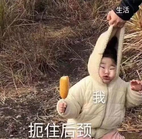 沙雕日常吃瓜视频