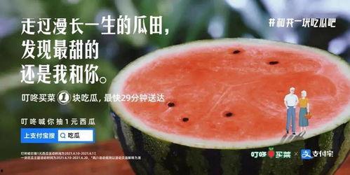 防止吃瓜文案,守护网络清朗空间