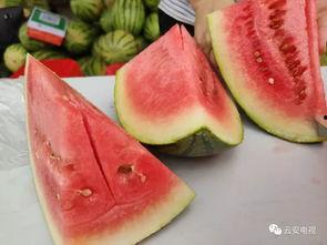 鹿邑全民吃瓜平台,揭秘当地独特的社交现象