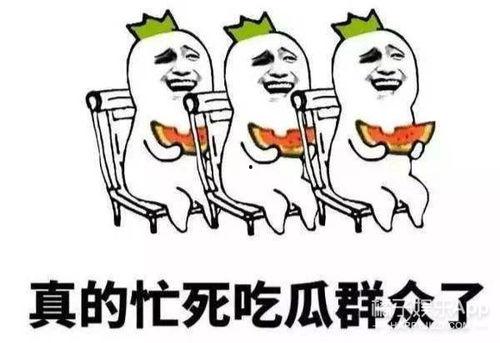 吃瓜群众挑个瓜