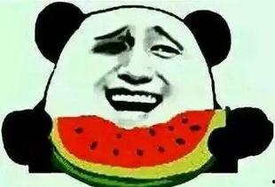 吃瓜群众挑个瓜