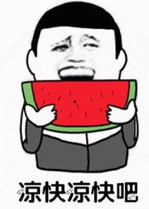 吃瓜仙女 豆瓣算命,揭秘命运之谜，探寻人生轨迹