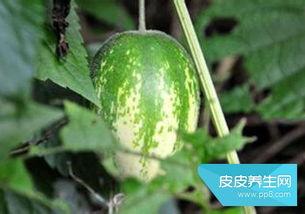 778页吃瓜,778页吃瓜大揭秘，明星幕后故事全曝光