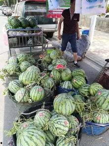 浙江商场吃瓜事件视频