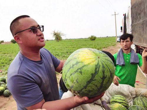 沈旭吃瓜,揭秘娱乐圈背后的那些事儿