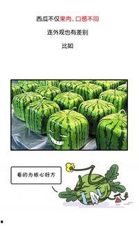 吃瓜群众要吃多久的瓜