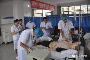 濮阳吃瓜群众事件,网络围观下的社会现象解析