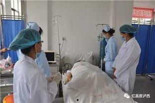 濮阳吃瓜群众事件,网络围观下的社会现象解析