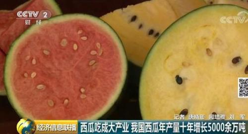 吃瓜群众夏天吃西瓜