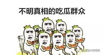 今天的瓜你吃没吃呀,揭秘“瓜界”新动态，你吃瓜了吗？