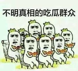 吃瓜群微信吃瓜群众,微信吃瓜群众的狂欢盛宴