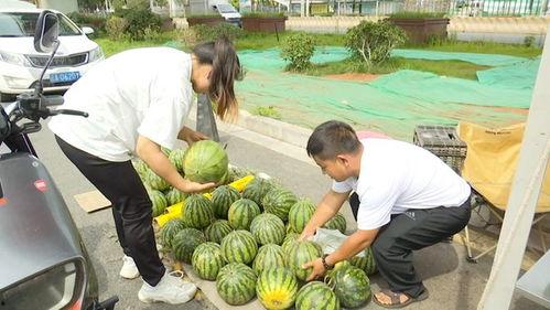 最近吃的瓜,揭秘明星们的幕后故事
