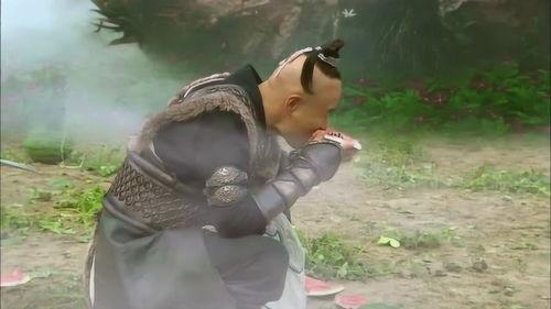 吃瓜的呆子