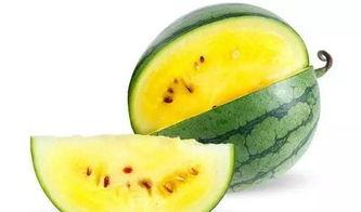 临沂财校吃瓜